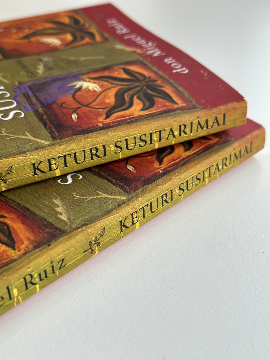 Knyga „KETURI SUSITARIMAI” (minkštas viršelis)