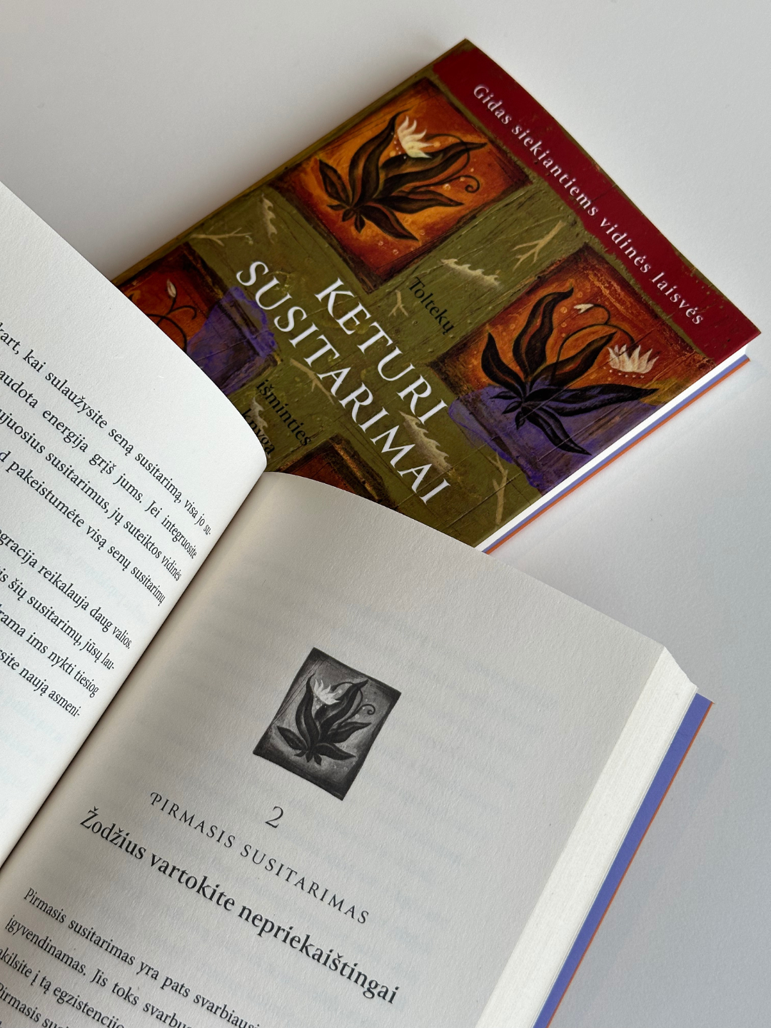 Knyga „KETURI SUSITARIMAI” (minkštas viršelis)