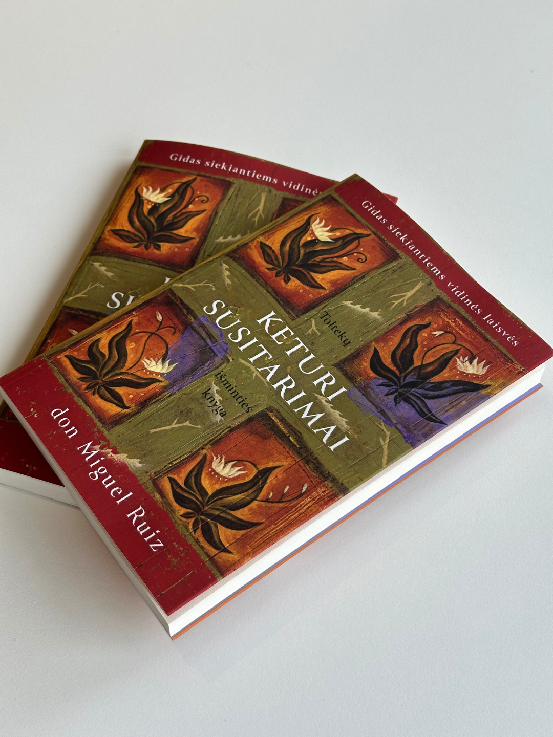 Knyga „KETURI SUSITARIMAI” (minkštas viršelis)